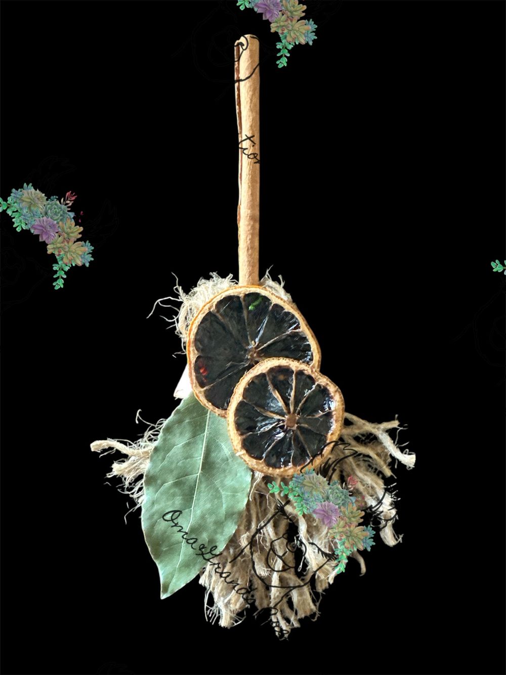 Grands Witches Broom