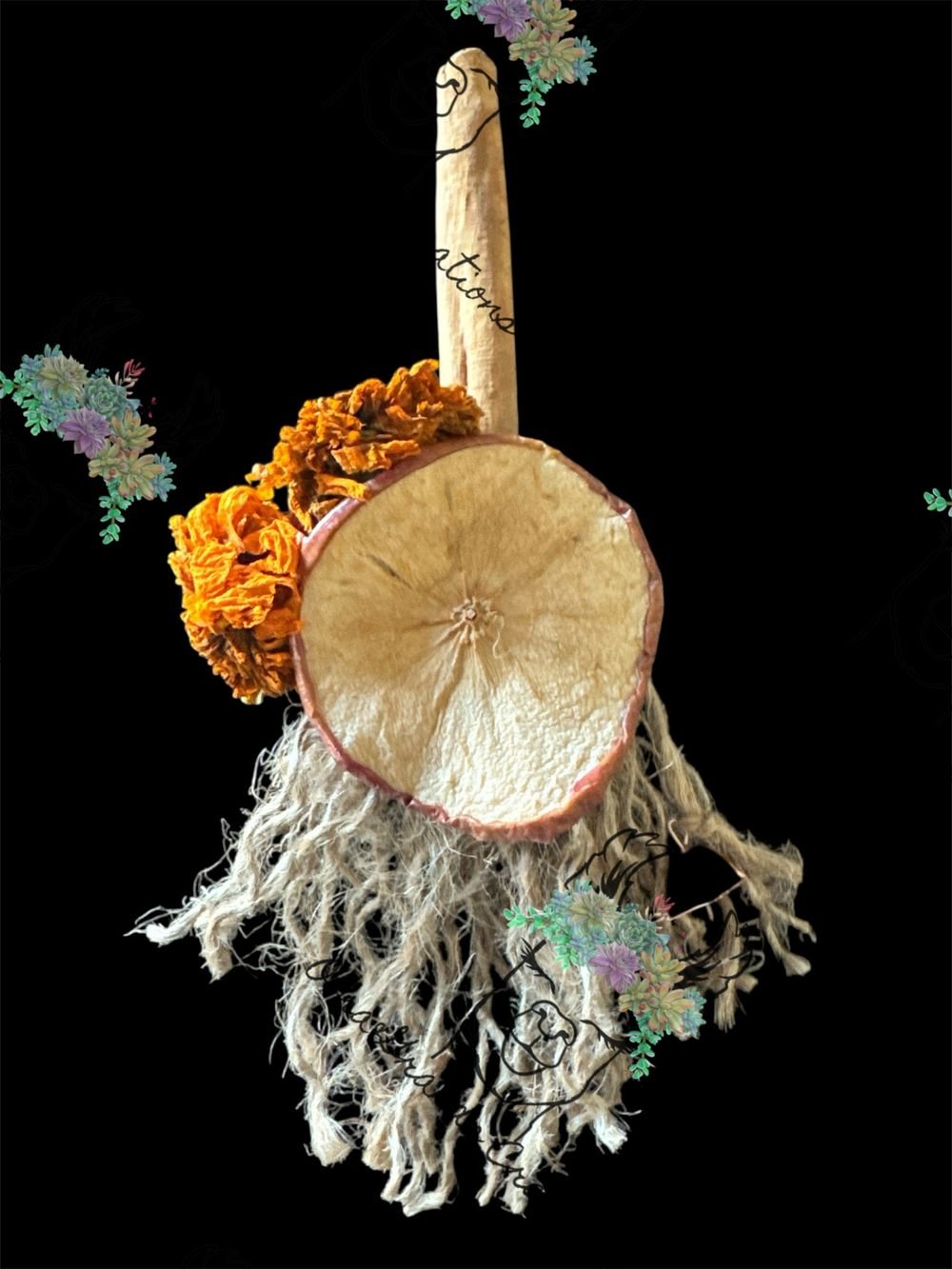 Grands Witches Broom 