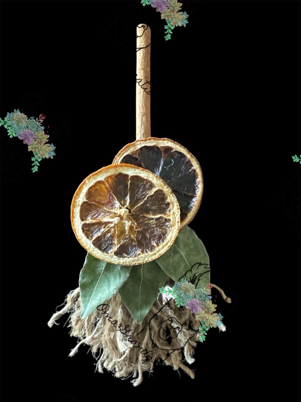 Grands Witches Broom 